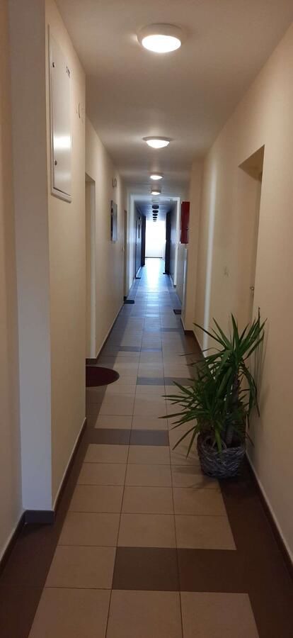 Апартаменты Guest House Mikeli (BESPL. DORUCAK)-(FREE BREAKFAST) Подгорица-15