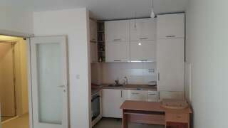 Апартаменты Guest House Mikeli (BESPL. DORUCAK)-(FREE BREAKFAST) Подгорица Апартаменты с 1 спальней-11