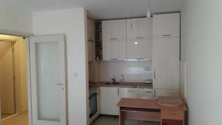 Апартаменты Guest House Mikeli (BESPL. DORUCAK)-(FREE BREAKFAST) Подгорица Апартаменты с 1 спальней-33