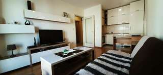 Апартаменты Guest House Mikeli (BESPL. DORUCAK)-(FREE BREAKFAST) Подгорица Апартаменты с 1 спальней-4