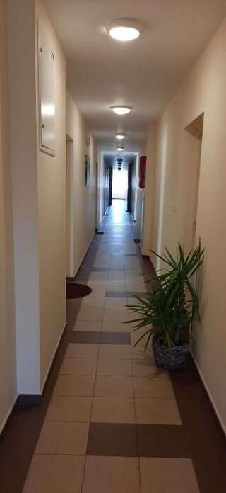 Апартаменты Guest House Mikeli (BESPL. DORUCAK)-(FREE BREAKFAST) Подгорица Апартаменты с 1 спальней-47
