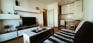 Апартаменты Guest House Mikeli (BESPL. DORUCAK)-(FREE BREAKFAST) Подгорица Апартаменты с 1 спальней-53